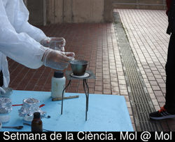 7mCiencia-7