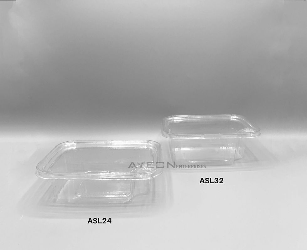 Thumbnail: Plastic Hinged Container with Security Lock