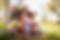 AdobeStock_223542801.jpeg