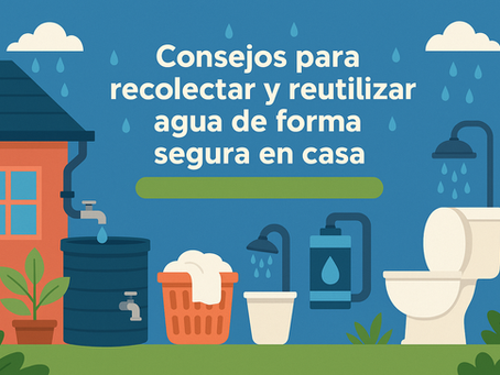 Ilustración en estilo plano que muestra una casa con sistema de captación de lluvia y personas reutilizando agua para regar plantas y limpiar pisos.