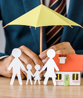 Financial Service & Insurance (4).png