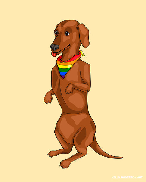 A dachshund (sausage dog) sits in the middle of the light peach coloured background. He sits up on his hind legs and has his tongue sticking out. He wears a bandana around his neck that has the rainbow colours on it.