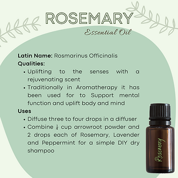 Rosemary 2.png