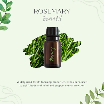 Rosemary 1.png