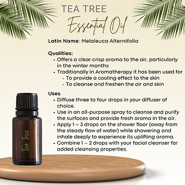 Tea Tree 2.png