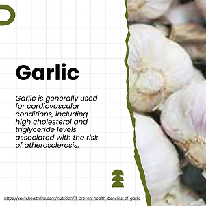 Garlic.png