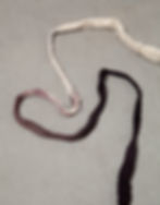 Conjoined detail