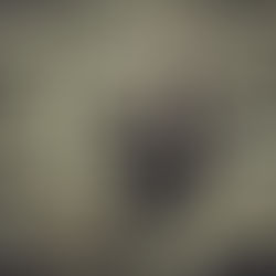 O Princípio Superconstitucional Anticorrupção e a Teoria da Ação em David Hume