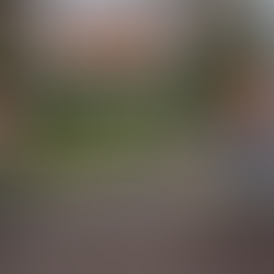 Mission - ASL Parc Viking