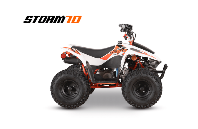 Image of an ATV