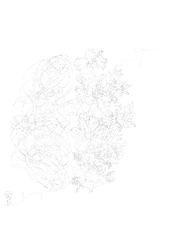 Logo WB no backgroundpng.png