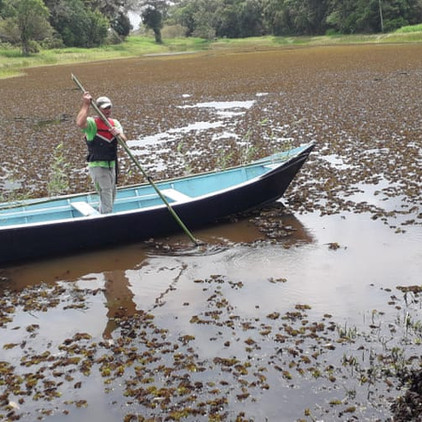 Limpeza lago2.jpeg