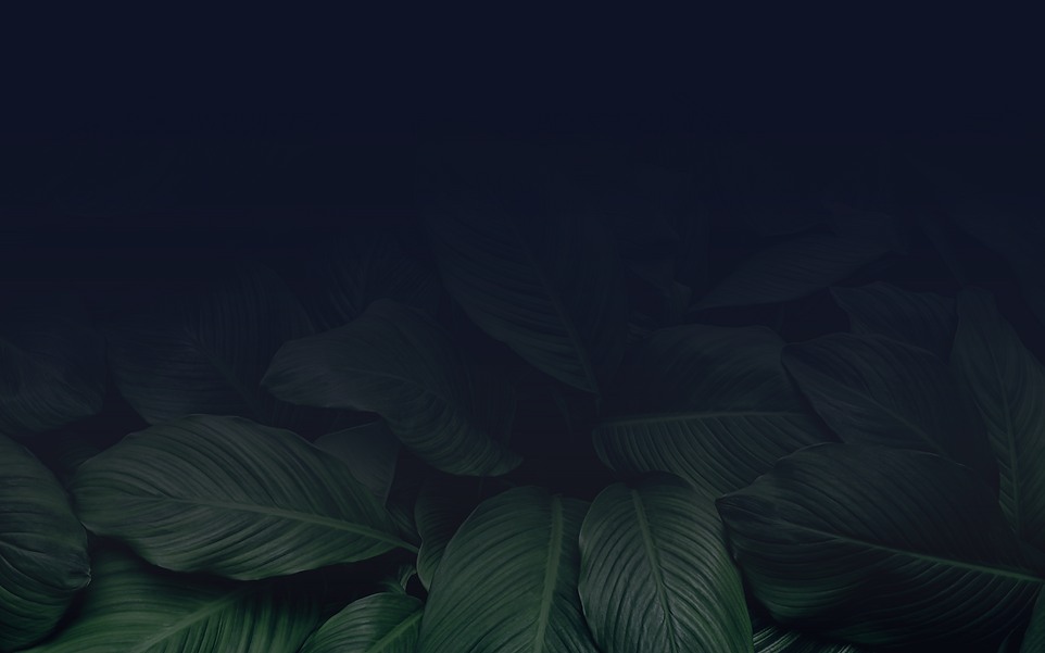 wesbite_leaves.png