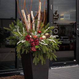 residential winter planter, winter arrangement, christmas arrangement, christmas planter, greenery, landscape, winterscape
