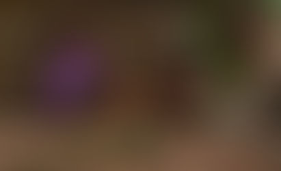 Insécurité à Beni : Un militaire FARDC a tué un homme about portant