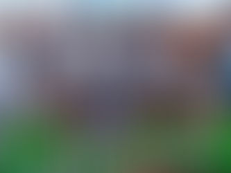 Football féminin : Les Léopards seniors dames chutent devant les lionnes de la Teranga