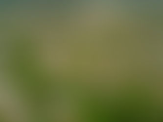 Situation sécuritaire à l'Est de la RDC : Le calme regagne dans certains territoires de l'Ituri