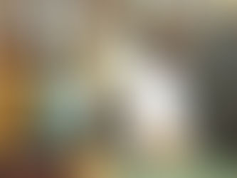 Affrontements entre M23 et FARDC: Paul Kagame enterré par les militants de la DYPRO à Kinshasa