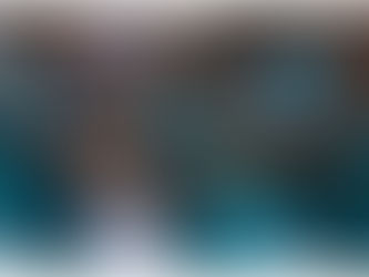 Elim/Qatar 2022 : les léopards ont validé leur ticket pour le second tour des éliminations