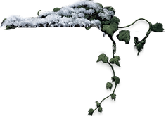 ChatGPT Image 26. 12. 2025 11_54_19 (2).png