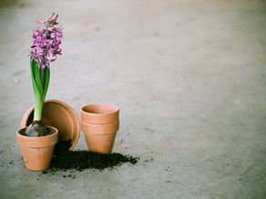 잠 못이루는 호세아