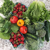 CSA Share 06_28_18.jpg