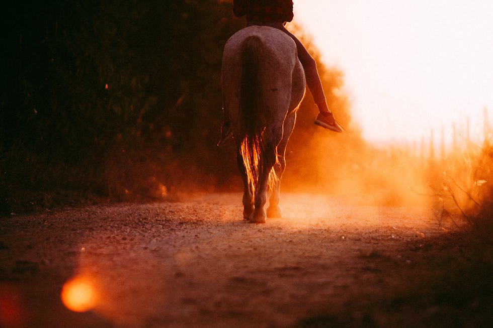 horseback riding ranches in Ontario
