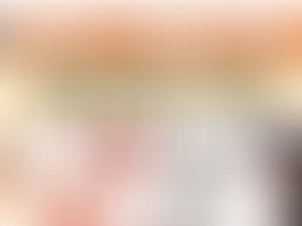 dog shock collars under $50