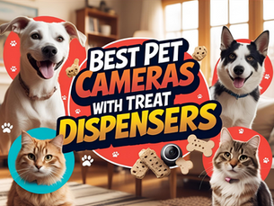 best pet cameras with treat dispensers