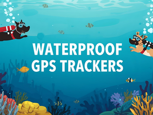 best waterproof dog GPS trackers