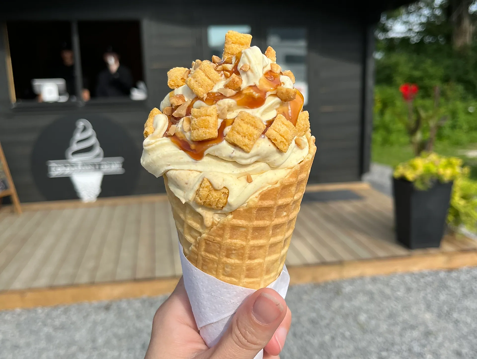fresh ice cream at Nickel City Cheese, Sudbury, Ontario