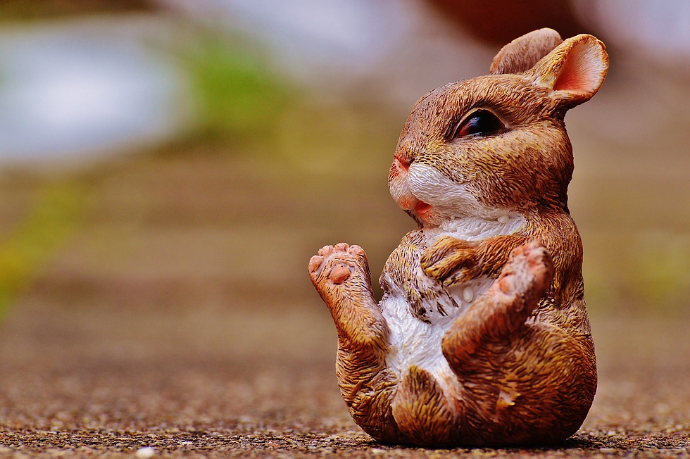 easter presents for teens
