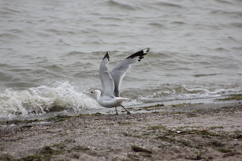Port Stanley Ontario