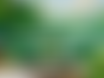 St. Patrick’s Day Celebrations in Ontario 2026