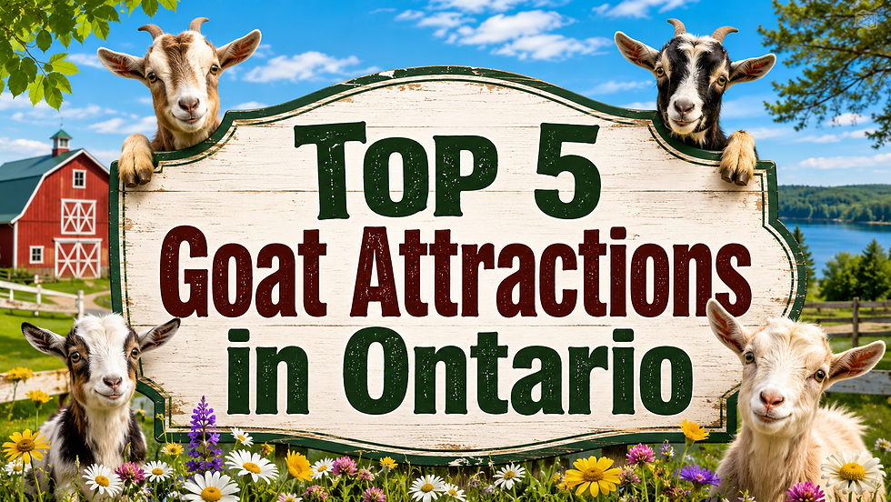goat farms in Ontario