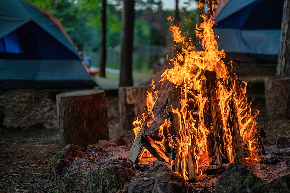 cabin rentals near Sault Saint Marie Ontario