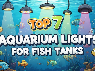 aquarium lights for fish tanks