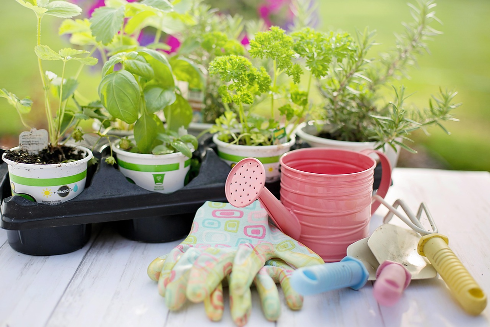best gifts for green thumbs