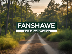 Fanshawe Conservation Area