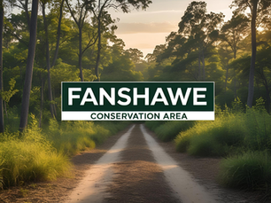 Fanshawe Conservation Area