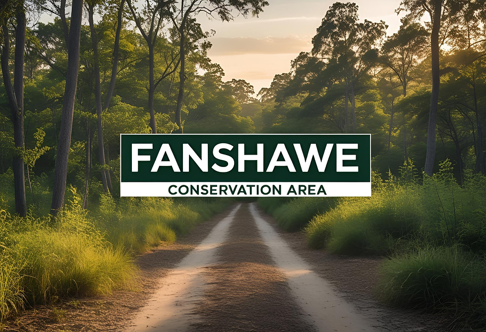 Fanshawe Conservation Area Ontario