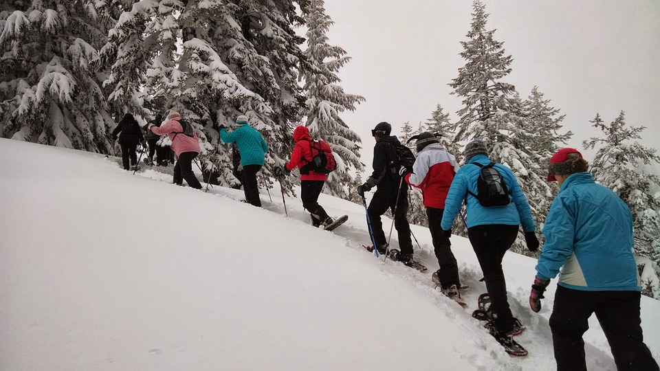 Snowshoeing at Haliburton Forest