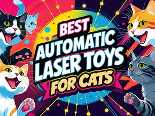 best automatic laser toys for cats