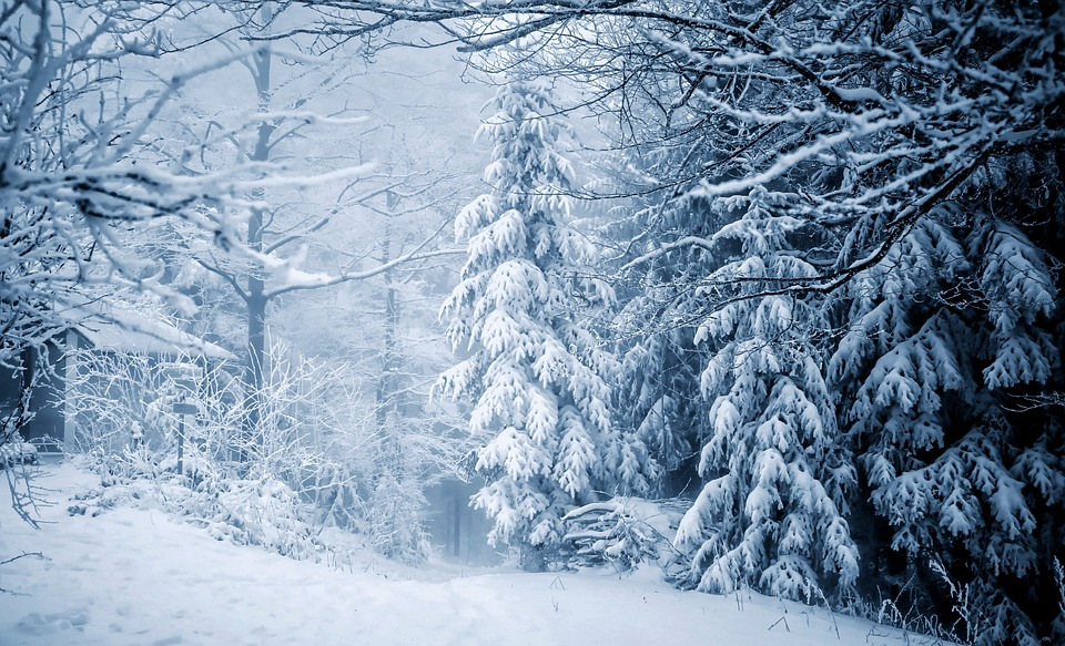 Winter at the Bruce Peninsula National Park