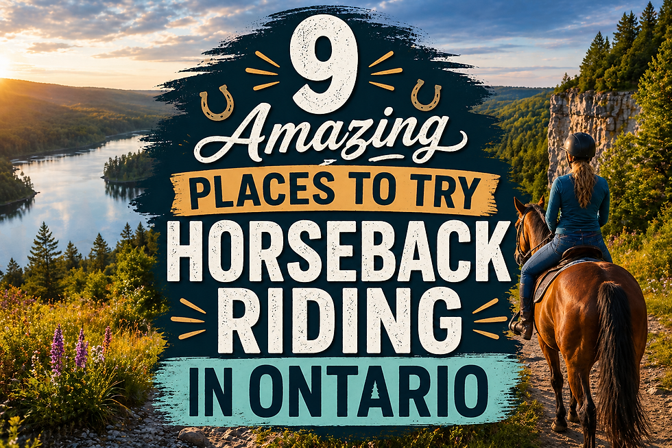 horseback riding in Ontario