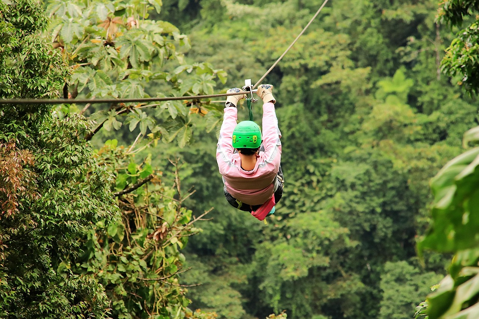 ziplines in Southern Ontario