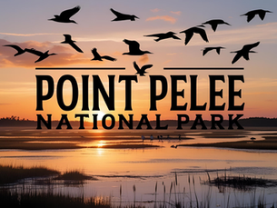 Point Pelee National Park