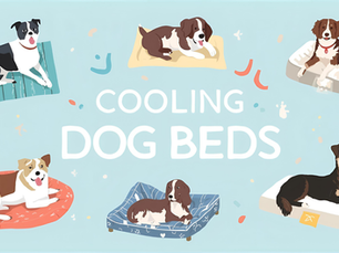 cooling dog beds