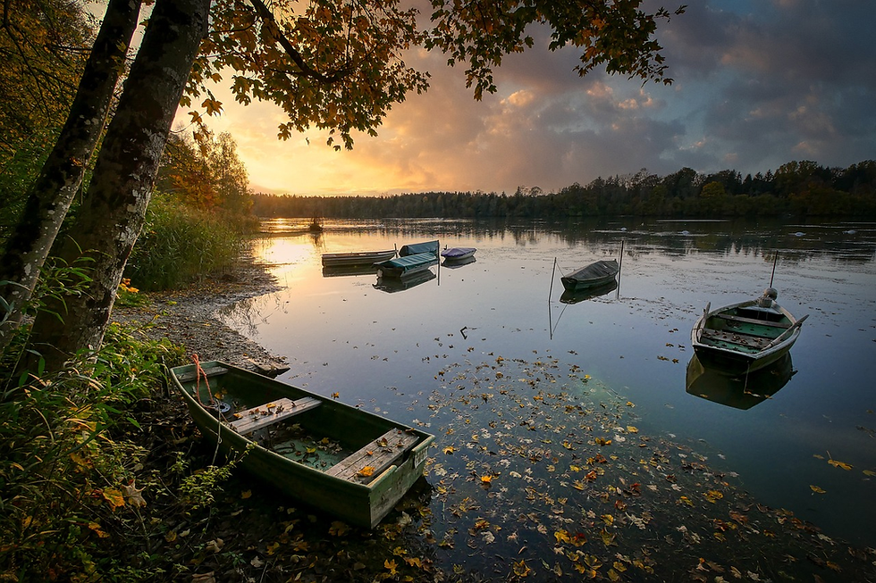 Charleston Lake Provincial Park visitor's guide