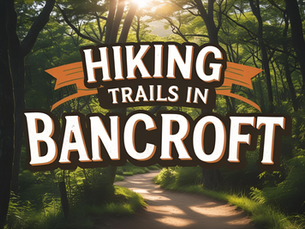 Top 6 Hiking Trails in Bancroft for Outdoor Enthusiasts